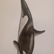 Mi Proyecto del curso: Técnicas de ilustración naturalista: ballenas en acuarela. Un proyecto de Ilustración, Diseño de carteles, Ilustración digital y Manga de Paula FERREYRA - 24.09.2021