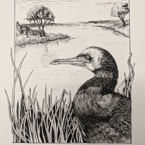 My project in Dip Pen and Ink Illustration: Capturing The Natural World course. Sketching, Drawing, Artistic Drawing, Sketchbook, and Naturalistic Illustration project by ellyngaspardi - 10.21.2021