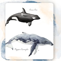 My project in Naturalist Illustration Techniques: Whales in Watercolor course. Un progetto di Illustrazione tradizionale, Design di poster , Illustrazione digitale e Manga di lucie.maisonneuve - 22.10.2021