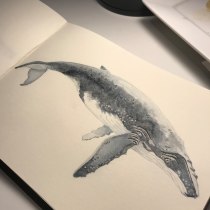 Meu projeto do curso: Técnicas de ilustração naturalista: baleias em aquarela. Un proyecto de Ilustración, Diseño de carteles, Ilustración digital y Dibujo manga de Yukie Kabashima - 25.10.2021