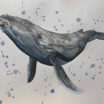 My project in Naturalist Illustration Techniques: Whales in Watercolor course. Un proyecto de Ilustración tradicional, Diseño de carteles, Ilustración digital y Manga de Helen McWhinnie - 15.11.2021