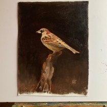 My project in Classical Oil Painting for Naturalist Bird Portraiture course. Un proyecto de Bellas Artes, Pintura, Pintura al óleo e Ilustración naturalista				 de naomiclarkturner - 28.12.2021