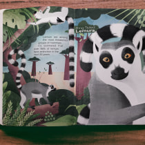Sonya Hammond - Wildlife Illustration for Children's Books. Vector Illustration, Digital Illustration, and Children's Illustration project by Sonya Mullins - 01.12.2022