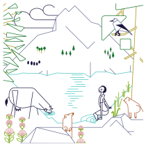 An Alpine landscape - My project in Expressive Line Work in Illustration course. Un proyecto de Ilustración, Ilustración vectorial, Ilustración digital y Dibujo digital de pierrejean2000 - 23.01.2022