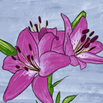 Pink Lillies. Traditional illustration, Film, Video, TV, Animation, Video, and 2D Animation project by marciocha - 01.27.2022