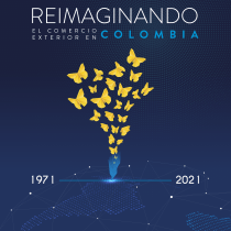 Cubierta libro: Reimaginando el comercio exterior en Colombia - Araújo Ibarra 50 años. Design, Art Direction, Graphic Design, Information Design, Creativit, and Communication project by John Triana - 10.14.2021