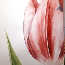 My project in Illustrating Nature: Tulips and wagtails. Illustration, Malerei, Zeichnung, Aquarellmalerei, Illustration mit Tinte und Naturalistische Illustration project by marieke - 24.02.2022
