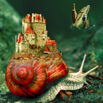 The KING'Snail. Un projet de Photographie, Collage, Retouche photographique, Illustration numérique, Composition photographique , et Photomontage de sab_dz - 04.04.2022