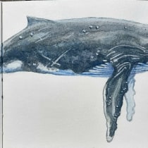 My project for course: Naturalist Illustration Techniques: Whales in Watercolor. Un proyecto de Ilustración, Diseño de carteles e Ilustración digital de Esther Middel - 02.06.2022