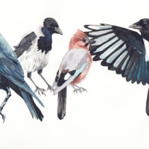 My project for course: Artistic Watercolor Techniques for Illustrating Birds. Illustration, Watercolor Painting, Realistic Drawing, and Naturalistic Illustration project by astridcoxon - 05.25.2022