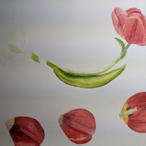 My project for course: Botanical Illustration with Watercolors. Un projet de Illustration traditionnelle, Beaux Arts, Peinture, Dessin, Aquarelle et Illustration botanique de amelia.hight - 16.06.2022