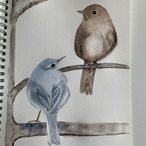 My project for course: Artistic Watercolor Techniques for Illustrating Birds. Illustration, Watercolor Painting, Realistic Drawing, and Naturalistic Illustration project by corinawaage - 06.18.2022