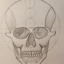 My project for course: Figure Drawing: The Human Head. Un proyecto de Dibujo a lápiz, Dibujo, Dibujo de Retrato, Dibujo realista y Dibujo anatómico de rezvan - 02.09.2022