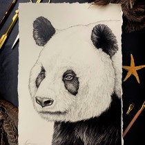My project for course: Naturalistic Animal Drawing with Graphite Pencil. Un projet de Illustration traditionnelle, Dessin au cra, on, Dessin et Illustration naturaliste de Amy Dover - 20.09.2022