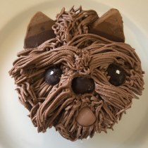 My project for course: Cupcake Decoration: Edible Art with Buttercream. Un proyecto de DIY, Artes culinarias, Lifest y le de Brenda - 02.10.2022