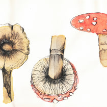 Minhas Aquarelas Botânicas. Ilustração, Pintura em aquarela, Ilustração botânica, e Sketchbook projeto de Caroline Medeiros - 09.08.2022