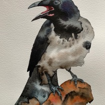 My project for course: Artistic Watercolor Techniques for Illustrating Birds - Gray crow Ein Projekt aus dem Bereich Illustration, Aquarellmalerei, Realistische Zeichnung und Naturalistische Illustration von Lidia - 15.10.2022
