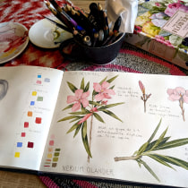 Cuaderno botánico . Um projeto de Ilustração, Pintura em aquarela, Ilustração botânica e Sketchbook de Maria Lopez Zuloaga - 03.12.2021
