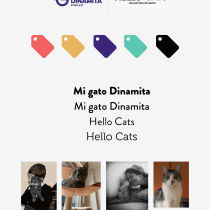 Mi Proyecto del curso: MGD + Hello Cats. Information Design, Social Media, and Digital Marketing project by Susana Salguero - 11.14.2022