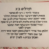 My project for course: Introduction to Hebrew Calligraphy. Writing, and Calligraph project by Stephanie Dietz - 11.18.2022