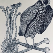 Rheba's project for course: Naturalist Illustration with Ballpoint Pen . Un proyecto de Ilustración, Dibujo, Dibujo realista e Ilustración naturalista				 de Rheba - 20.11.2022
