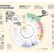 Visualisation de données : parc arboré bordelais. Information Architecture, Information Design, Interactive Design & Infographics project by Marie Dufay - 11.24.2022
