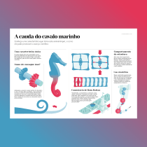 The Seahorse’s Tail - A cauda do cavalo marinho. Graphic Design, Information Architecture, Information Design, Interactive Design & Infographics project by Cristian Arantes - 11.25.2022