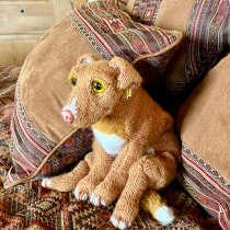 My project for course: Knitting Realistic Stuffed Animals: Make a Puppy from Yarn. Un proyecto de Moda, Tejido, DIY, Tejido de punto y Diseño textil de Lois Garrett - 19.12.2022