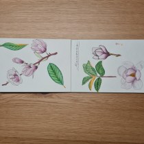 My project for course: Botanical Watercolor Sketchbook. Ilustração, Pintura em aquarela, Ilustração botânica, e Sketchbook projeto de marrtinezgml - 18.12.2022