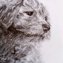 My project for course: Animal Illustration with Charcoal and Ink. Desenho, Ilustração com tinta e Ilustração naturalista projeto de lionsaidh.smith - 08.01.2023