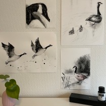My project for course: Animal Illustration with Charcoal and Ink Ein Projekt aus dem Bereich Zeichnung, Illustration mit Tinte und Naturalistische Illustration von Mara Ionescu - 08.01.2023
