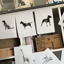 My project for course: Animal Illustration with Charcoal and Ink. Artes plásticas, Desenho, Ilustração com tinta e Ilustração naturalista projeto de Wendi Bowron Weller - 14.01.2023