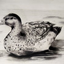 My project for course: Naturalistic Animal Drawing with Graphite Pencil.. Traditional illustration, Pencil Drawing, Drawing, and Naturalistic Illustration project by S. Teabo - 11.23.2022