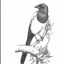 My project for course: Naturalist Illustration with Ballpoint Pen . Un proyecto de Ilustración, Dibujo, Dibujo realista e Ilustración naturalista				 de mirhayasu - 28.01.2023