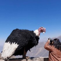 Tomas de Arequipa, Perú. Un projet de Photographie, Photographie numérique , et Composition photographique de Brigitte Milagros - 07.11.2022