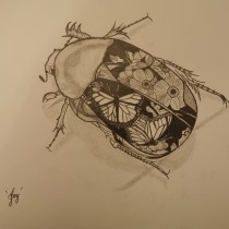 El escarabajo. Un proyecto de Dibujo a lápiz, Dibujo, Dibujo artístico e Ilustración naturalista				 de Sandrine Jankowski - 26.02.2023