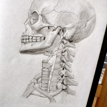 Mi proyecto del curso: Dibujo anatómico con lápiz de grafito para principiantes. Un projet de Beaux Arts, Dessin au cra, on, Dessin, Dessin réaliste , et Dessin anatomique de santiramir98 - 16.03.2023