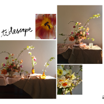 Il mio progetto del corso: Floral design con fiori stagionali. Interior Design, Decoration, DIY, Floral, Plant Design, Lifest, and le project by letiziacarta - 03.19.2023