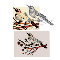 My project for course: Naturalist Illustration with Ballpoint Pen . Un proyecto de Ilustración, Dibujo, Dibujo realista e Ilustración naturalista				 de Linda Rempel - 07.04.2023