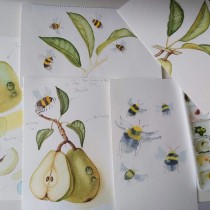 My project for course: Realistic Botanical Illustration: Escape to Nature. Painting, Watercolor Painting, Botanical Illustration, and Naturalistic Illustration project by Caroline Mann - 04.01.2023