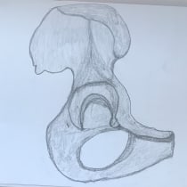 Mi proyecto del curso: Dibujo anatómico con lápiz de grafito para principiantes. Un projet de Beaux Arts, Dessin au cra, on, Dessin, Dessin réaliste , et Dessin anatomique de Julia - 20.05.2023