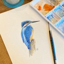 My project for course: Naturalist Bird Illustration with Watercolors. Traditional illustration, Watercolor Painting, Realistic Drawing, and Naturalistic Illustration project by Lyndsay Stephenson - 05.26.2023