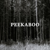 Peekaboo. Marketing, Cop, writing, Stor, telling, Content Marketing, and Communication project by Lucas Louzas - 08.09.2023