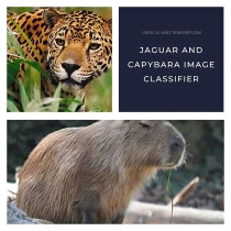 Jaguar and Capybara Images Classifier with Tensorflow. Projekt z dziedziny Programowanie, Tworzenie stron internetow, ch, Rozwój produktu c, frowego	 i Sztuczna Inteligencja użytkownika Gonzalo Cayunao Erices - 19.08.2023