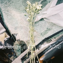 Broken But Shinning. Un progetto di Fotografia, Curatore d'arte, Design editoriale e Narrativa di alehsy - 01.09.2023