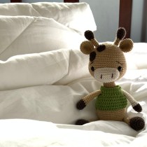 My project for course: Crocheting Amigurumi Animals for Beginners. Projekt z dziedziny Craft, Projektowanie zabawek, Sz, dełkowanie, Amigurumi, Wzornictwo tekst i liów użytkownika Rina Diana - 03.09.2023