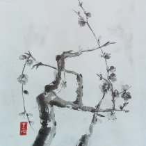 Sumi-e: The Mindful Art of Japanese Ink Painting: Akemi Lucas