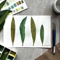 My project for course: Realistic Botanical Watercolor Drawing. Design, Traditional illustration, Fine Arts, Painting, Watercolor Painting, and Botanical Illustration project by Tanya Meschcerina - 09.07.2023