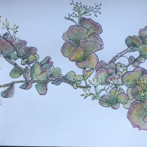  Sketch botanico-meditativo. Traditional illustration, Sketching, Drawing, Watercolor Painting, Botanical Illustration, and Sketchbook project by lusi - 09.29.2023