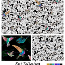 My project: Cosmos flowers and birds. Ilustração tradicional, Gestão de design, Pattern Design, e Desenvolvimento de portfólio projeto de Rut Tellechea - 07.10.2023